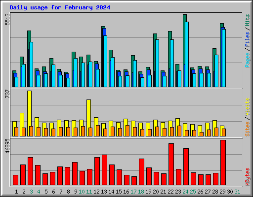 Daily usage for February 2024