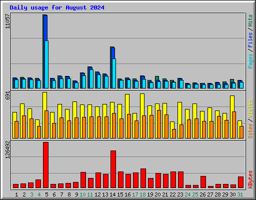 Daily usage for August 2024