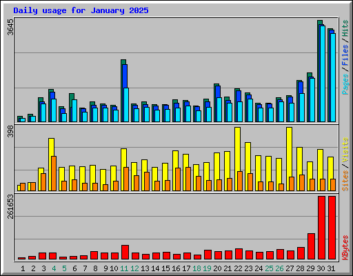 Daily usage for January 2025