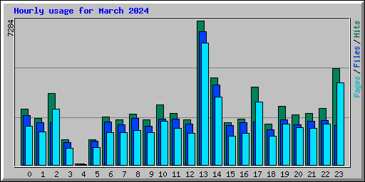 Hourly usage for March 2024