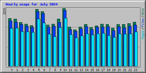 Hourly usage for July 2024