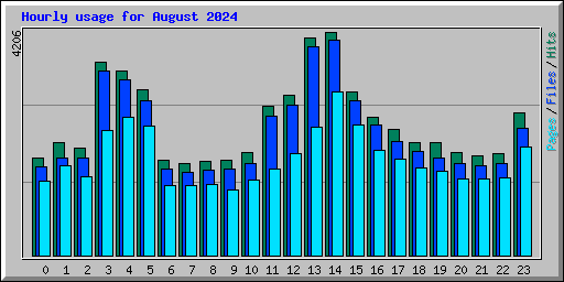 Hourly usage for August 2024
