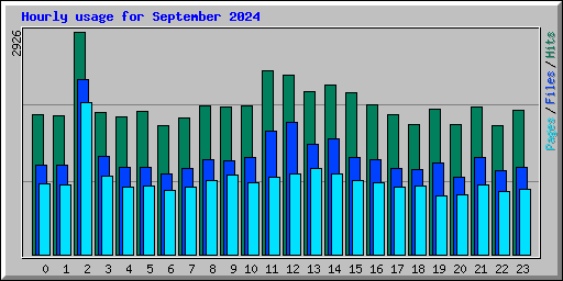 Hourly usage for September 2024
