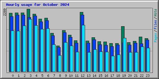Hourly usage for October 2024