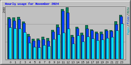 Hourly usage for November 2024