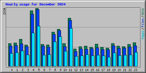 Hourly usage for December 2024