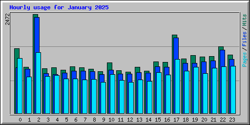 Hourly usage for January 2025