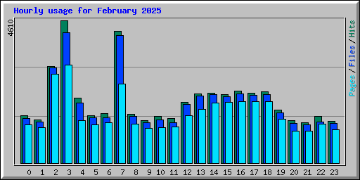 Hourly usage for February 2025