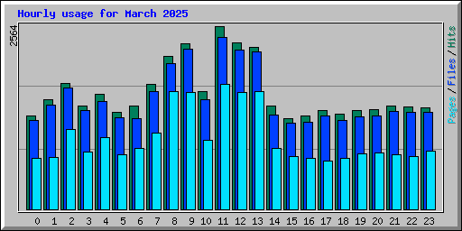 Hourly usage for March 2025