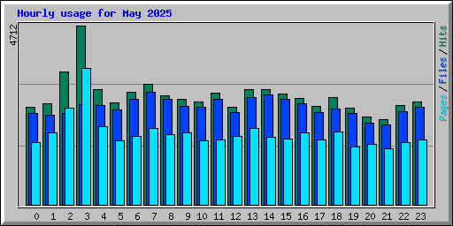 Hourly usage for May 2025