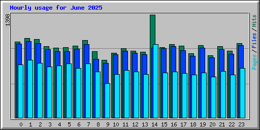 Hourly usage for June 2025