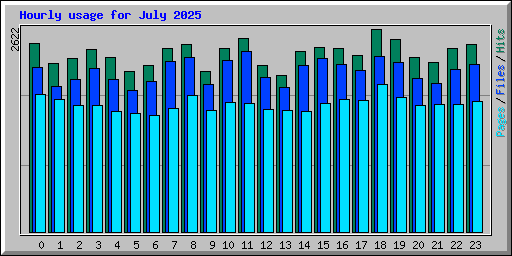 Hourly usage for July 2025