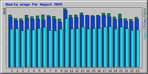 Hourly usage for August 2025